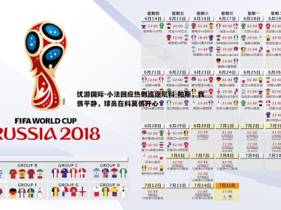 优游国际-小法回应热刺追逐尼科-帕斯，我很平静，球员在科莫很开心