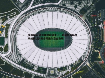优游国际-两大球星前途未卜，鲍威尔与科林斯或将以到期合同进入自由市场